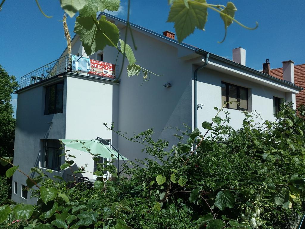 Apartments Nebojsa Sokobanja Eksteriør billede